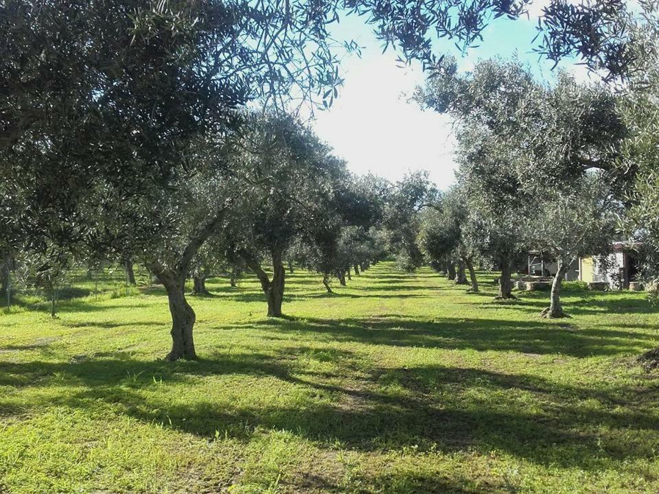 Farm stay Sa Ruda Cabras