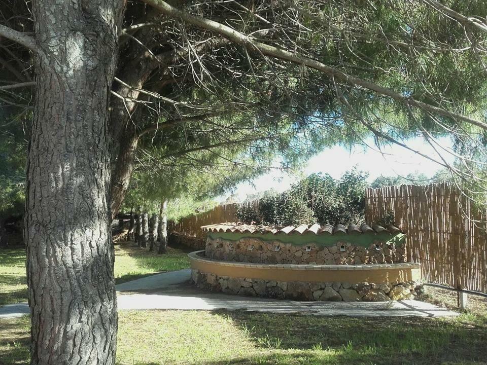 Farm stay Sa Ruda Cabras
