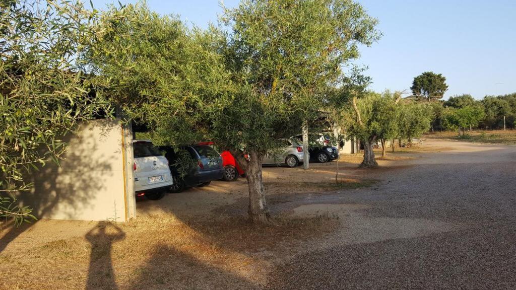 Sa Ruda Farm stay Cabras